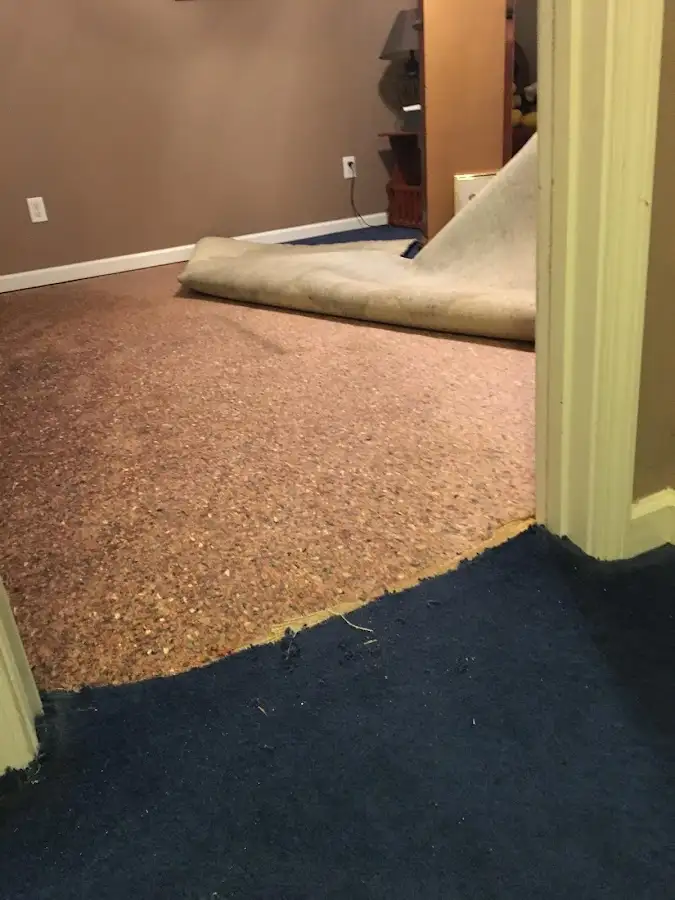 Carpet pad removal revealing water damage during Drying & Dehumidification in San Ramon