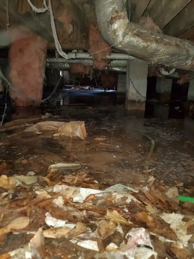 Crawl space flood assessment for Leak Detection & Repair in San Ramon