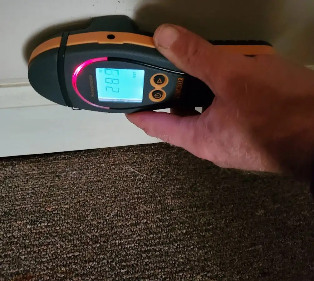Moisture detection at baseboard during Sewage Cleanup & Sanitation in San Ramon